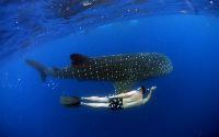 Punta Cana, Dominican Republic - Grab Your Gear Punta Cana, Dominican Republic - Grab Your Gear